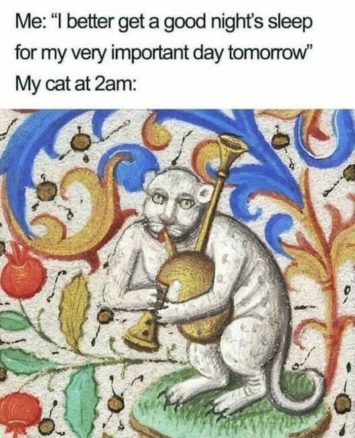 50 Of The Funniest Memes That Explain The Middle Ages In A Way That Books Probably Never Will
