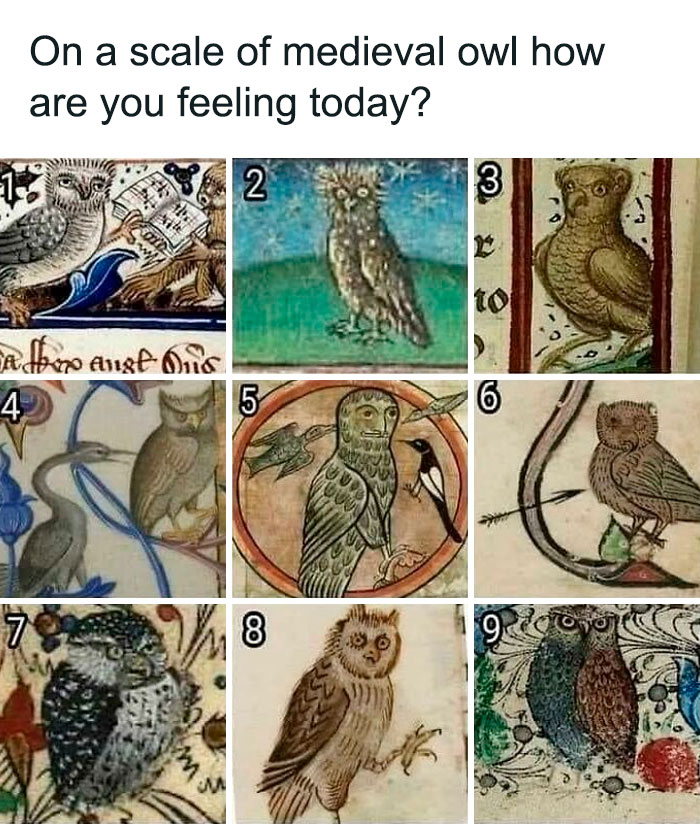 50 Of The Funniest Memes That Explain The Middle Ages In A Way That Books Probably Never Will