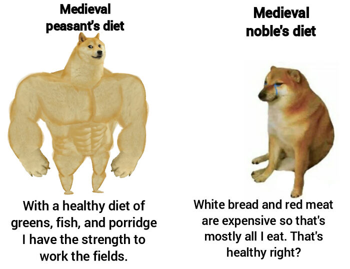 50 Of The Funniest Memes That Explain The Middle Ages In A Way That Books Probably Never Will