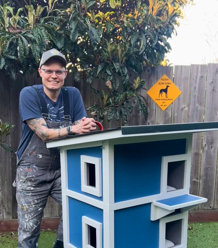 This Guy Spotted A Scruffy Cat In His Yard, What He Did Next Changed Both Their Lives