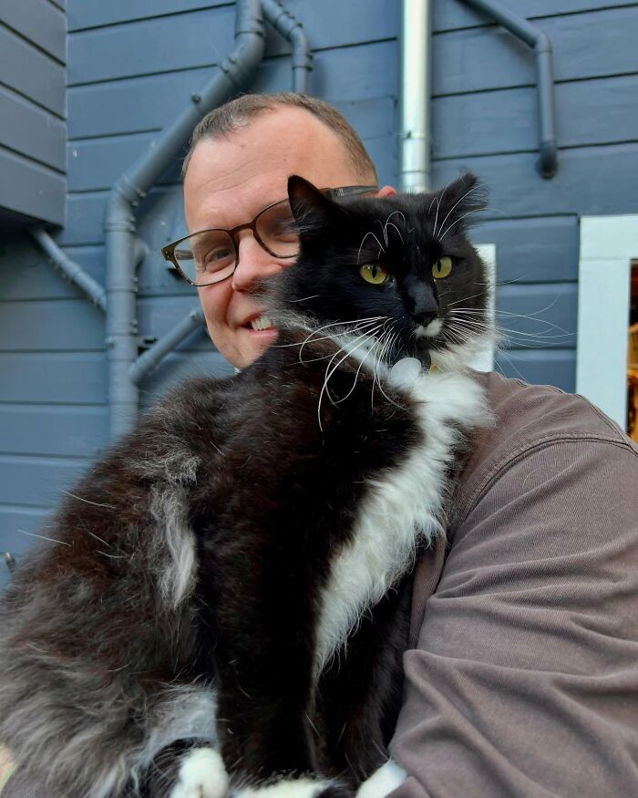 This Guy Spotted A Scruffy Cat In His Yard, What He Did Next Changed Both Their Lives