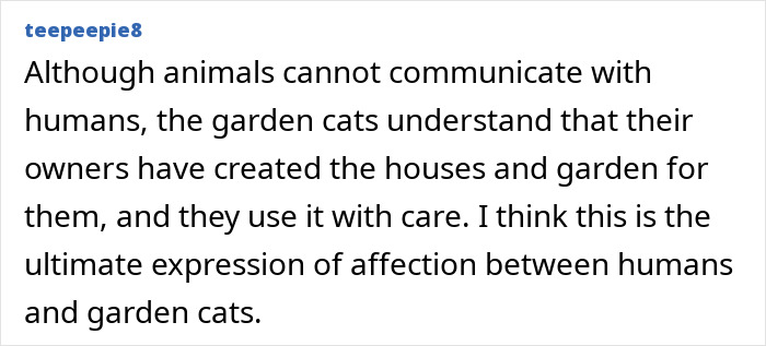 This Guy Spotted A Scruffy Cat In His Yard, What He Did Next Changed Both Their Lives