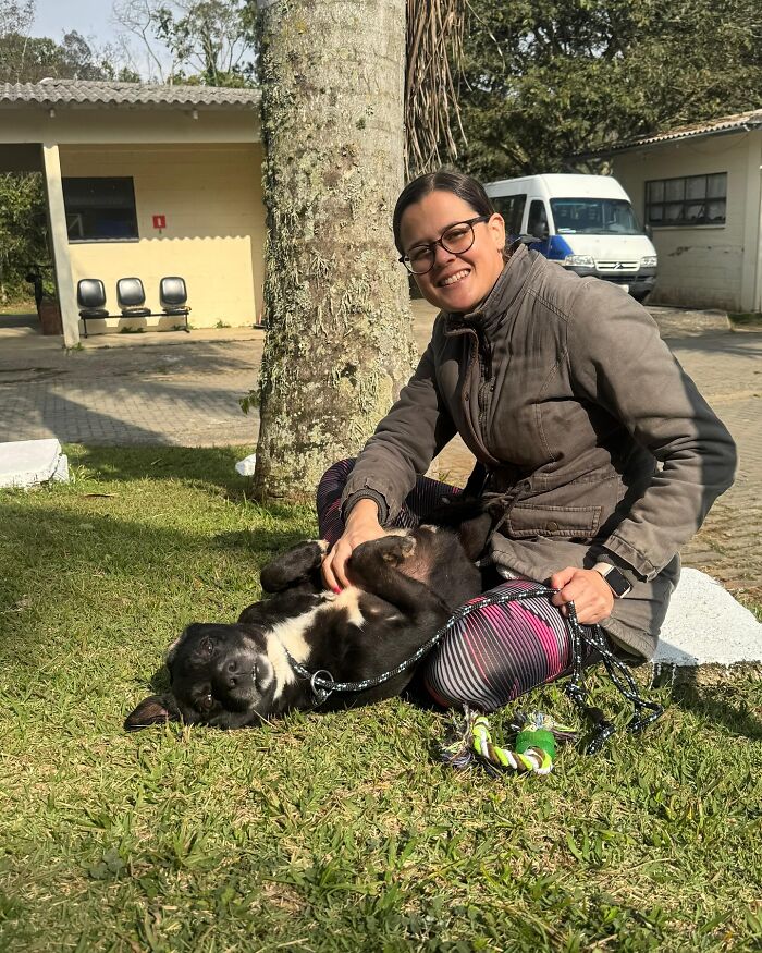66 Photos That Capture The Pure Joy Of Shelter Dogs On Their Weekly Walks