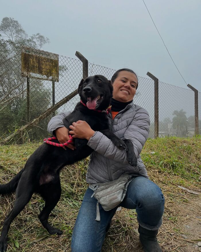 66 Photos That Capture The Pure Joy Of Shelter Dogs On Their Weekly Walks