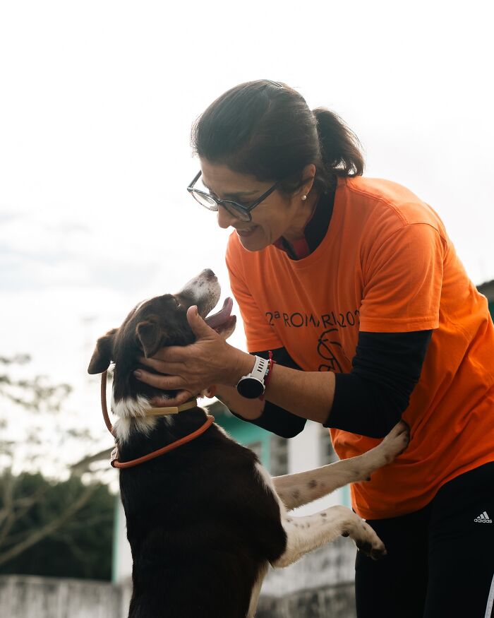 66 Photos That Capture The Pure Joy Of Shelter Dogs On Their Weekly Walks