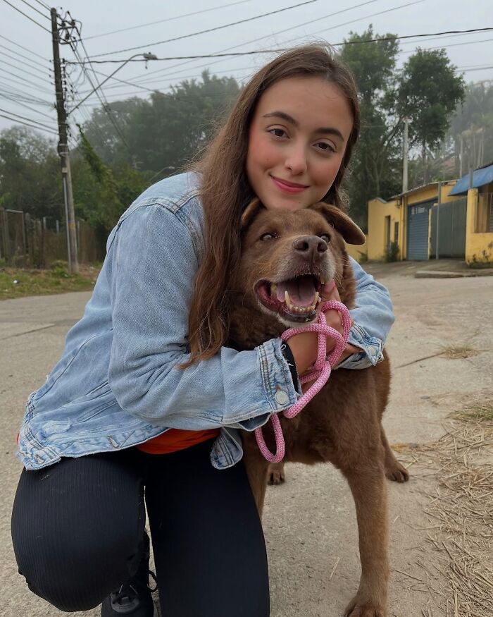 66 Photos That Capture The Pure Joy Of Shelter Dogs On Their Weekly Walks
