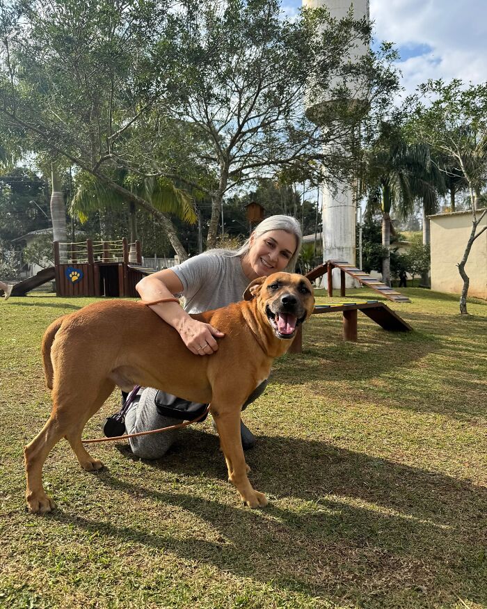 66 Photos That Capture The Pure Joy Of Shelter Dogs On Their Weekly Walks