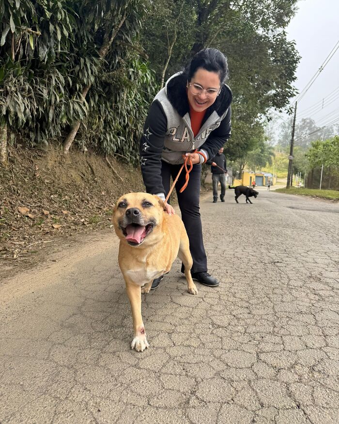 66 Photos That Capture The Pure Joy Of Shelter Dogs On Their Weekly Walks