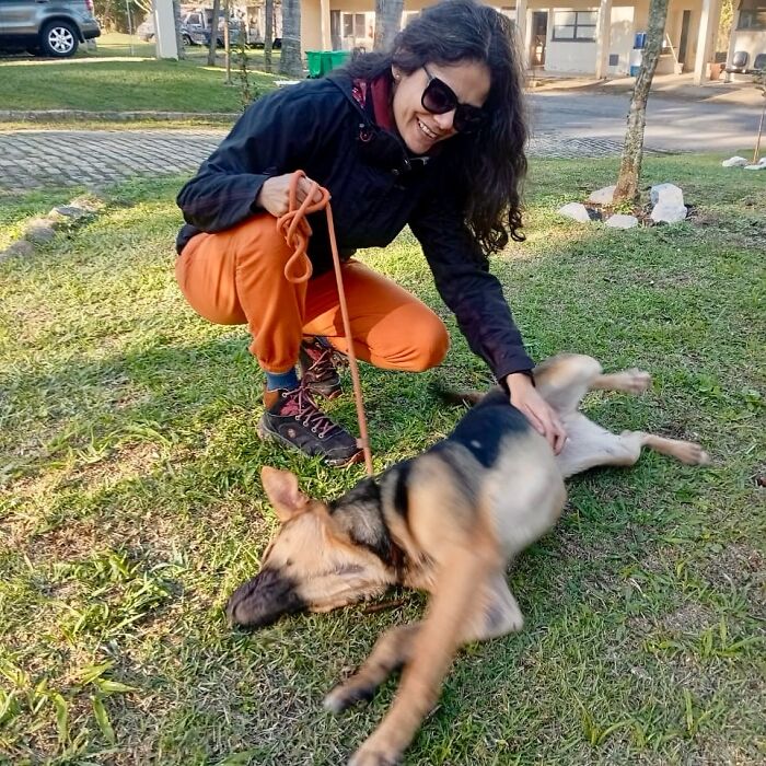 66 Photos That Capture The Pure Joy Of Shelter Dogs On Their Weekly Walks
