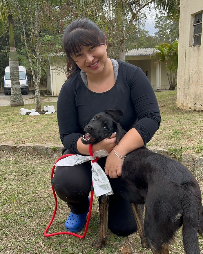 66 Photos That Capture The Pure Joy Of Shelter Dogs On Their Weekly Walks