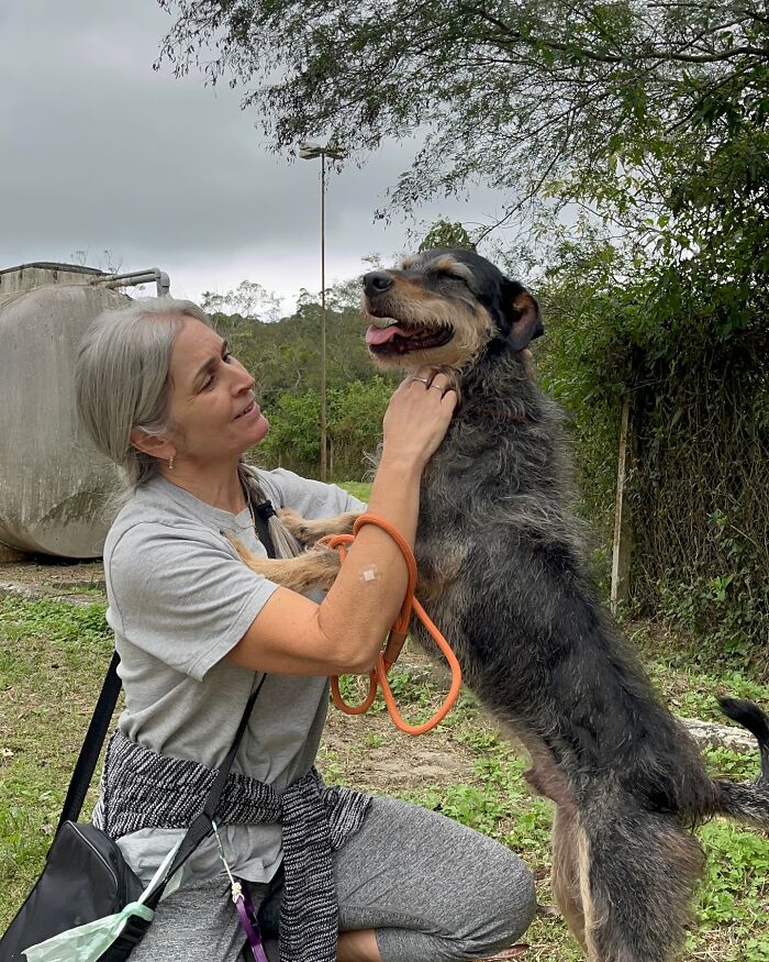 66 Photos That Capture The Pure Joy Of Shelter Dogs On Their Weekly Walks