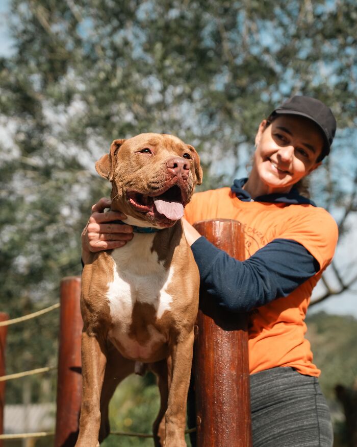 66 Photos That Capture The Pure Joy Of Shelter Dogs On Their Weekly Walks