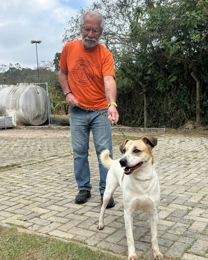 66 Photos That Capture The Pure Joy Of Shelter Dogs On Their Weekly Walks