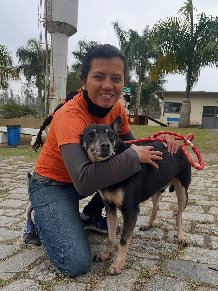 66 Photos That Capture The Pure Joy Of Shelter Dogs On Their Weekly Walks