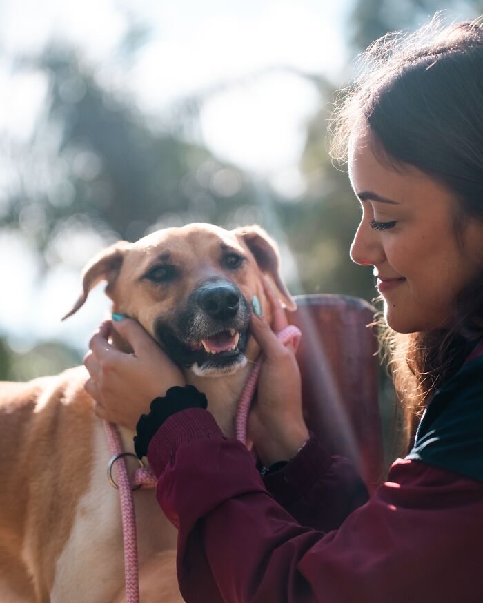 66 Photos That Capture The Pure Joy Of Shelter Dogs On Their Weekly Walks