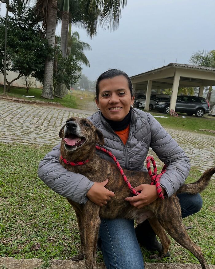 66 Photos That Capture The Pure Joy Of Shelter Dogs On Their Weekly Walks