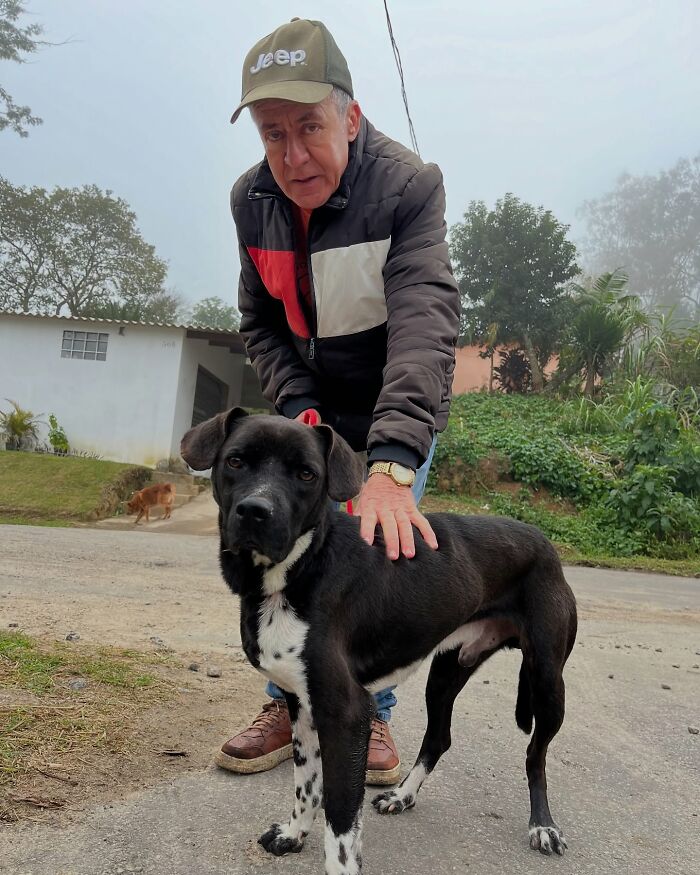 66 Photos That Capture The Pure Joy Of Shelter Dogs On Their Weekly Walks