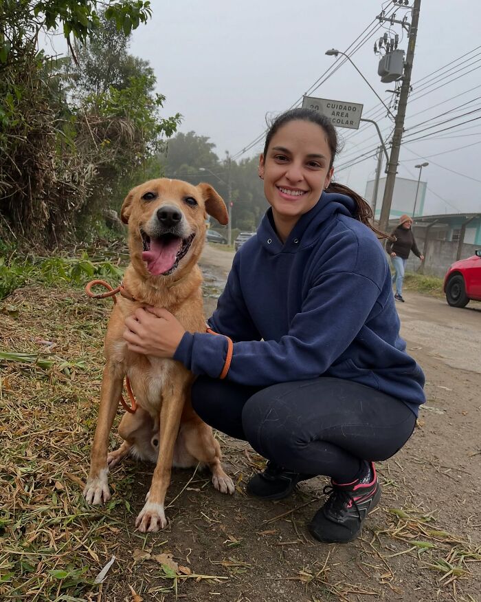66 Photos That Capture The Pure Joy Of Shelter Dogs On Their Weekly Walks