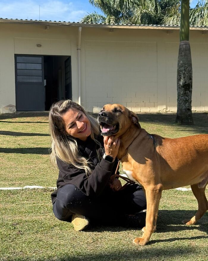 66 Photos That Capture The Pure Joy Of Shelter Dogs On Their Weekly Walks