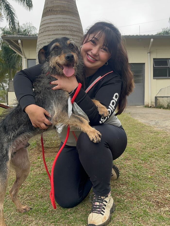 66 Photos That Capture The Pure Joy Of Shelter Dogs On Their Weekly Walks