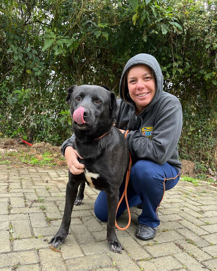 66 Photos That Capture The Pure Joy Of Shelter Dogs On Their Weekly Walks
