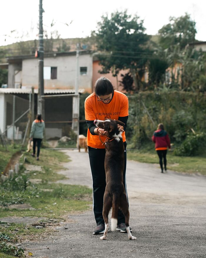 66 Photos That Capture The Pure Joy Of Shelter Dogs On Their Weekly Walks