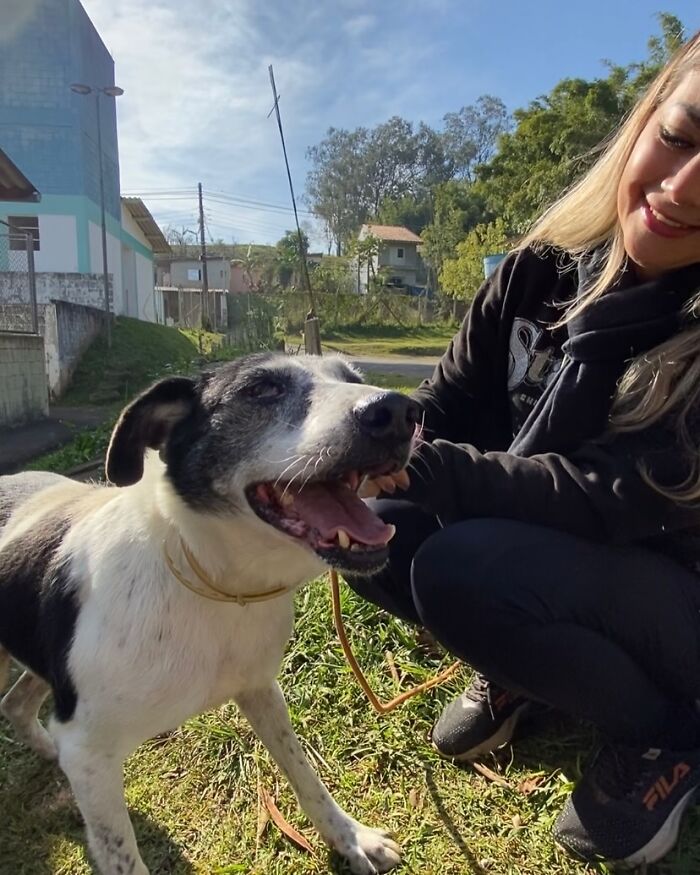 66 Photos That Capture The Pure Joy Of Shelter Dogs On Their Weekly Walks