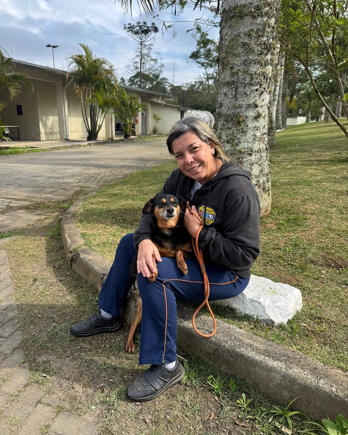 66 Photos That Capture The Pure Joy Of Shelter Dogs On Their Weekly Walks