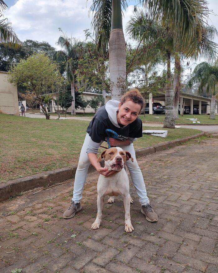 66 Photos That Capture The Pure Joy Of Shelter Dogs On Their Weekly Walks