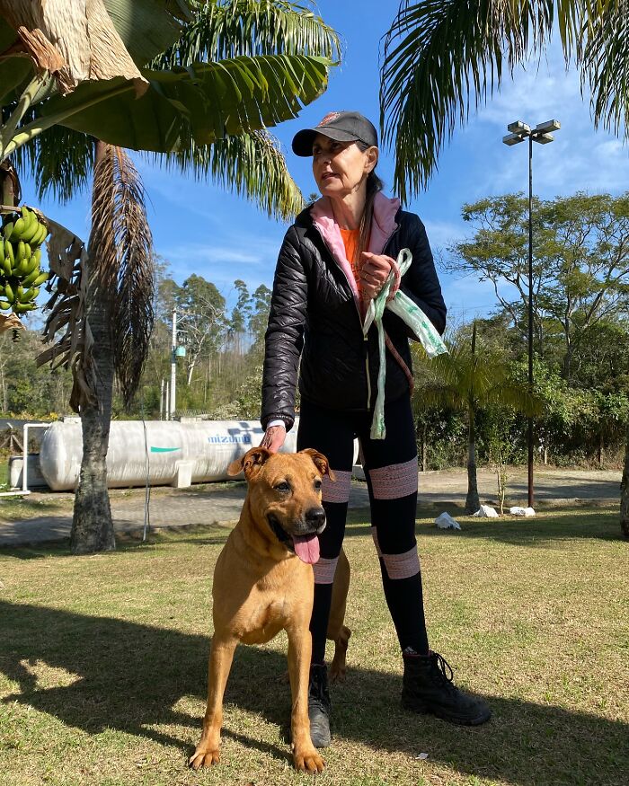 66 Photos That Capture The Pure Joy Of Shelter Dogs On Their Weekly Walks