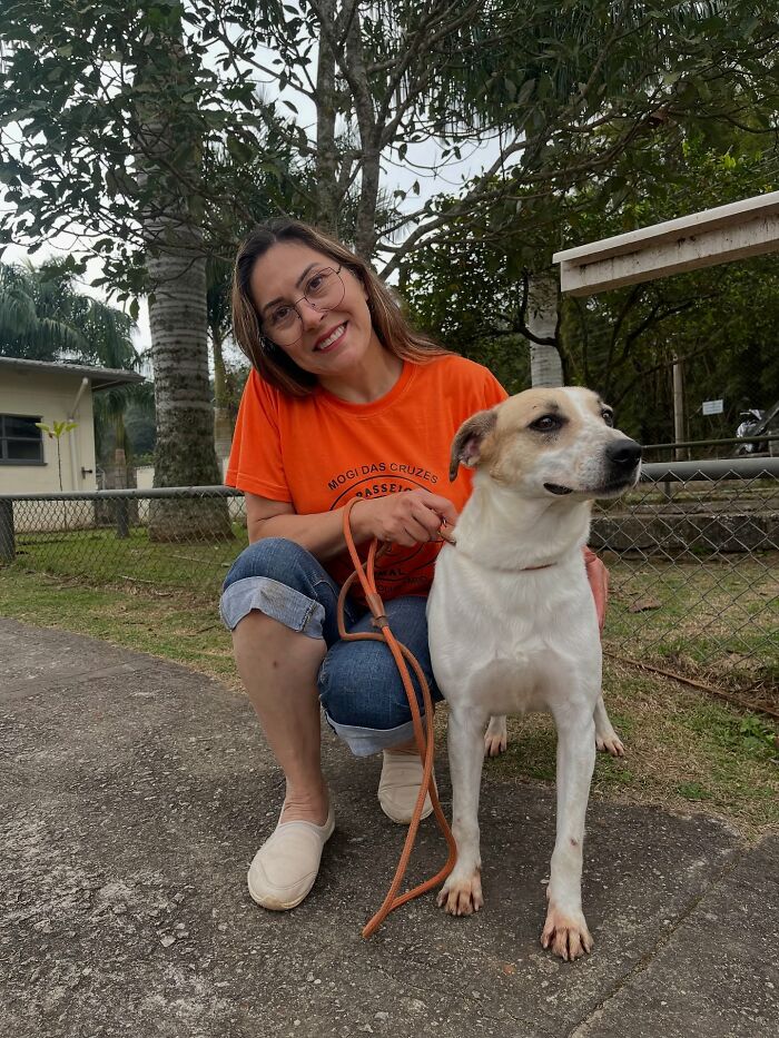 66 Photos That Capture The Pure Joy Of Shelter Dogs On Their Weekly Walks