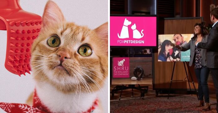 22 Shark Tank Products That Are Either Pure Genius Or Absolutely Unhinged