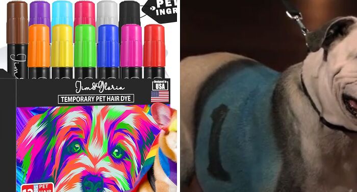 22 Shark Tank Products That Are Either Pure Genius Or Absolutely Unhinged