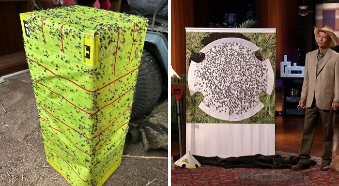 22 Shark Tank Products That Are Either Pure Genius Or Absolutely Unhinged