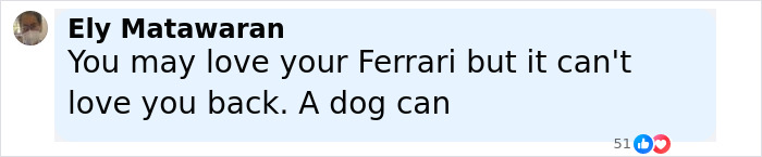 Man Sells His Luxury Ferrari To Fund Shelter For Traumatized Dogs After One Saved His Life