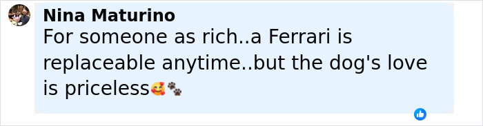 Man Sells His Luxury Ferrari To Fund Shelter For Traumatized Dogs After One Saved His Life