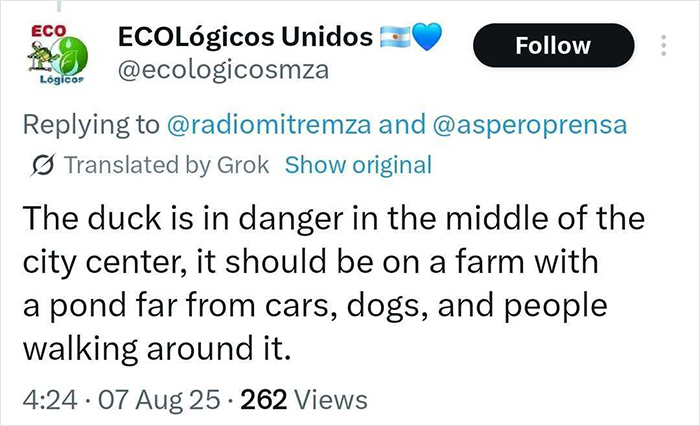 &#8220;Free Juan&#8221;: Celebrity Duck Gets A Lawyer, Sparks Mass Support After Being Removed From Popular Location