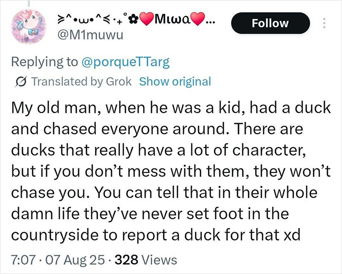 &#8220;Free Juan&#8221;: Celebrity Duck Gets A Lawyer, Sparks Mass Support After Being Removed From Popular Location