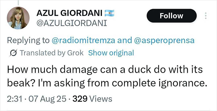 &#8220;Free Juan&#8221;: Celebrity Duck Gets A Lawyer, Sparks Mass Support After Being Removed From Popular Location