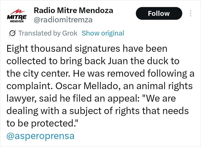 &#8220;Free Juan&#8221;: Celebrity Duck Gets A Lawyer, Sparks Mass Support After Being Removed From Popular Location