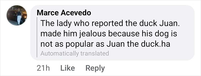 &#8220;Free Juan&#8221;: Celebrity Duck Gets A Lawyer, Sparks Mass Support After Being Removed From Popular Location