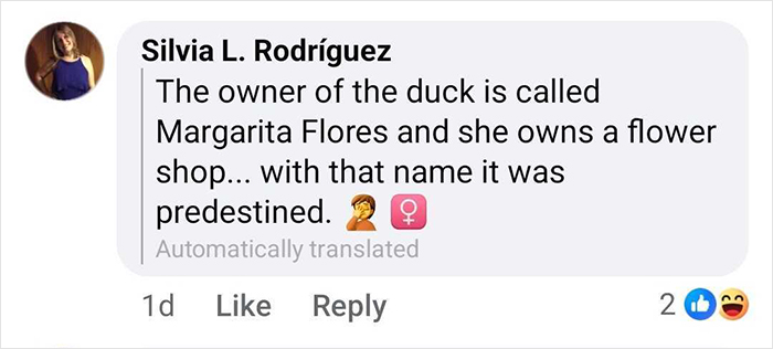 &#8220;Free Juan&#8221;: Celebrity Duck Gets A Lawyer, Sparks Mass Support After Being Removed From Popular Location