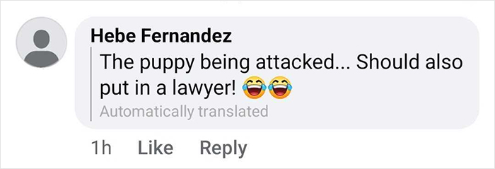 &#8220;Free Juan&#8221;: Celebrity Duck Gets A Lawyer, Sparks Mass Support After Being Removed From Popular Location