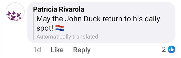 &#8220;Free Juan&#8221;: Celebrity Duck Gets A Lawyer, Sparks Mass Support After Being Removed From Popular Location