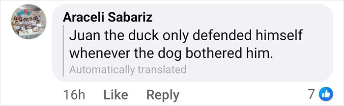 &#8220;Free Juan&#8221;: Celebrity Duck Gets A Lawyer, Sparks Mass Support After Being Removed From Popular Location