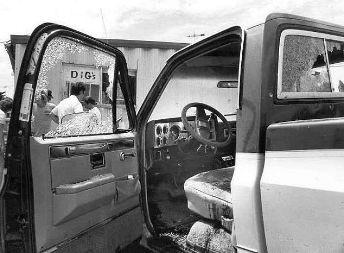 30 Unhinged Actions That Are Actually Great Examples Of Chaotic Good Behavior (New Pics)