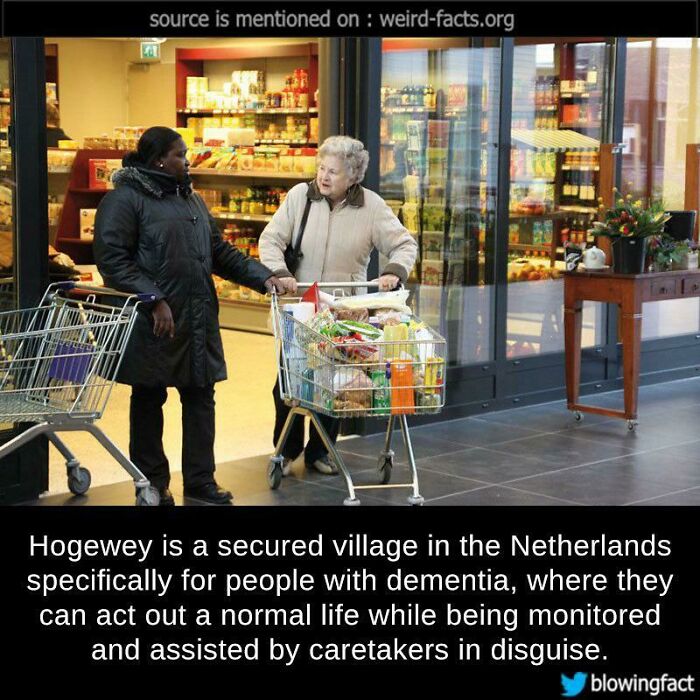 55 Interesting Facts And Stories From Around The World, Backed Up By Pics To Prove Them (New Pics)