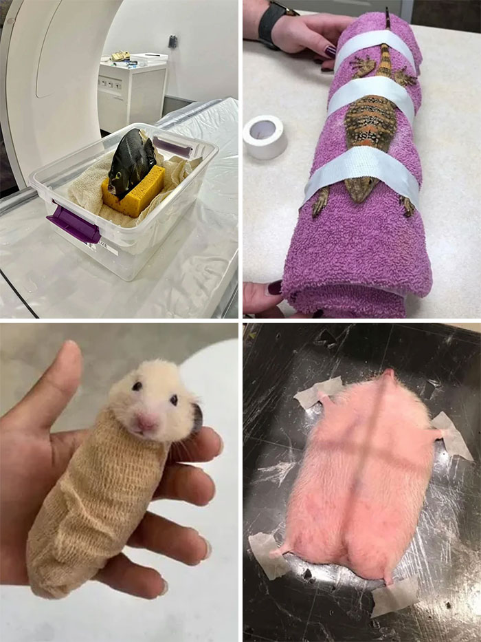 55 Interesting Facts And Stories From Around The World, Backed Up By Pics To Prove Them (New Pics)