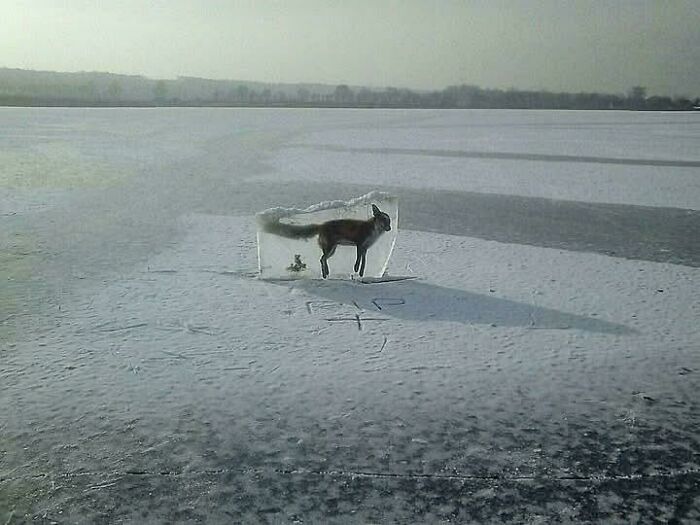 55 Interesting Facts And Stories From Around The World, Backed Up By Pics To Prove Them (New Pics)