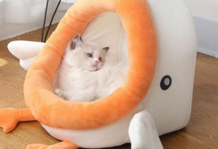 Forget Practicality, These 23 Things Are Just Pure, Unadulterated Cool